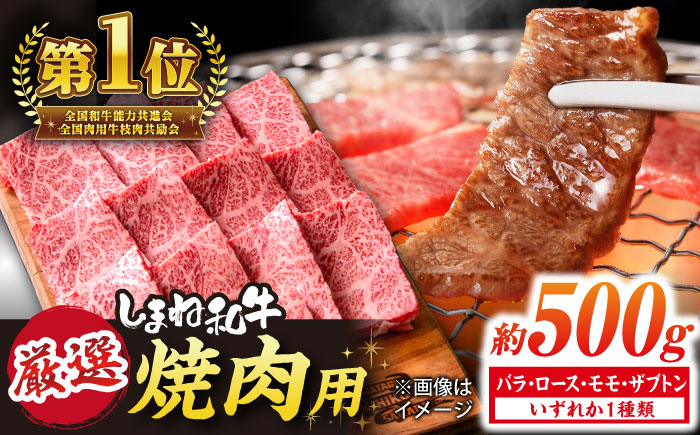 極上厳選！受賞歴多数 しまね和牛 焼肉 計500g(250g×2P) 島根県松江市/株式会社O.R.C [ALEF076]