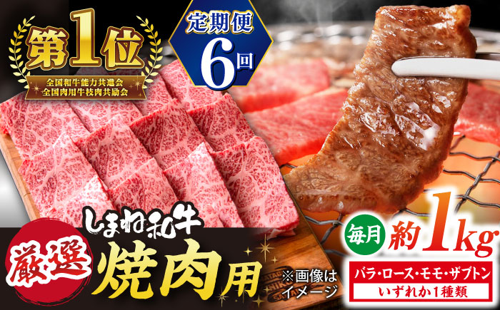 【全6回定期便】極上厳選！受賞歴多数 しまね和牛 焼肉 計6.0kg 島根県松江市/株式会社O.R.C [ALEF084]