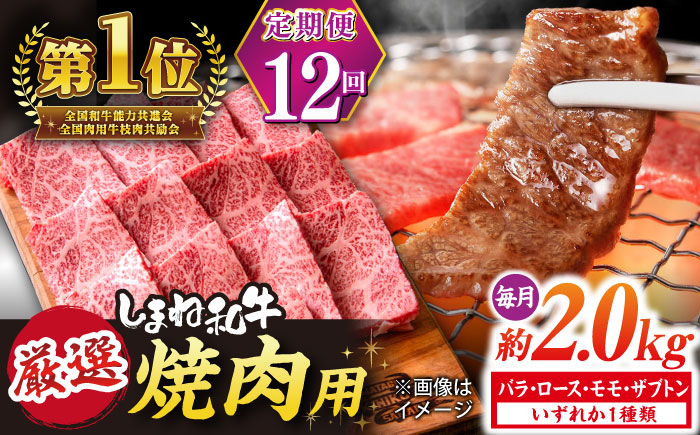 【全12回定期便】極上厳選！受賞歴多数 しまね和牛 焼肉 計24.0kg 島根県松江市/株式会社O.R.C [ALEF090]