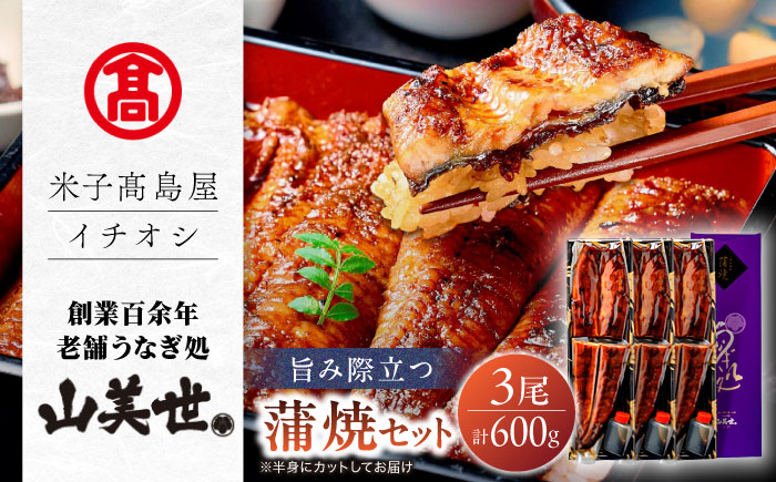 【米子高島屋選定品】[うなぎ処 山美世]うなぎ蒲焼3尾詰合せ MAT-AA4 島根県松江市/株式会社米子高島屋 [ALFD017]