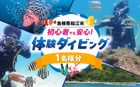 松江で海中散歩♪初心者でも安心の体験ダイビングプラン 島根県松江市/合同会社LOCOBLUE [ALFE001] 体験チケット