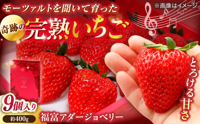 【数量限定20セット】島根県松江市「のつ農園」　完熟いちご「福富アダージョベリー」９個入り 島根県松江市/山陰中央テレビジョン放送株式会社 [ALFI002]