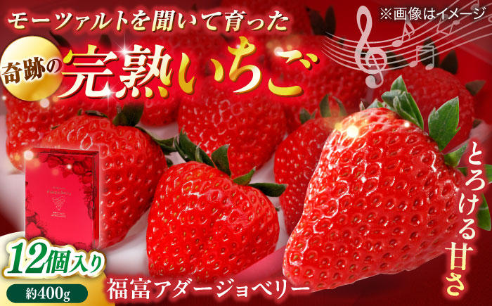 【数量限定100セット】島根県松江市「のつ農園」　完熟いちご「福富アダージョベリー」　12個入り 島根県松江市/山陰中央テレビジョン放送株式会社 [ALFI003]