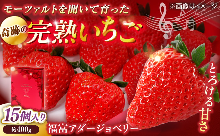 【数量限定100セット】島根県松江市「のつ農園」　完熟いちご「福富アダージョベリー」　15個入り 島根県松江市/山陰中央テレビジョン放送株式会社 [ALFI004]