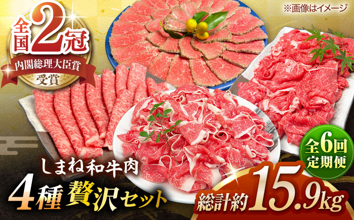 【全6回定期便】その旨味、最上級！「しまね和牛肉」4種贅沢セット単品?島根県松江市/有限会社おき精肉店 [ALFT086]