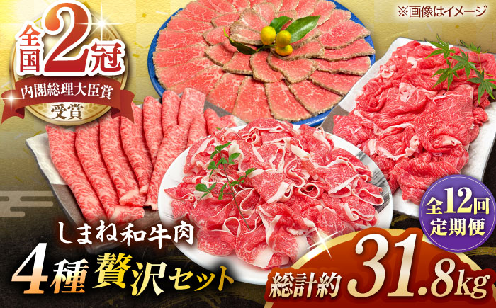 【全12回定期便】その旨味、最上級！「しまね和牛肉」4種贅沢セット単品?島根県松江市/有限会社おき精肉店 [ALFT087]