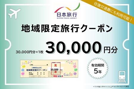 島根県松江市 日本旅行 地域限定旅行クーポン 30,000円分 島根県松江市/株式会社日本旅行 [ALGD002] 宿泊券