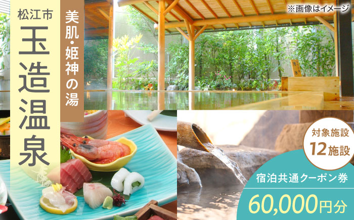 玉造温泉共通クーポン券 寄附額20万円 60000円分クーポン 島根県松江市/玉造温泉旅館協同組合 [ALHN003] 宿泊クーポン