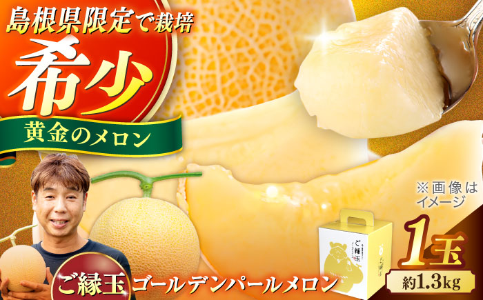 【先行予約】ご縁玉 ゴールデンパールメロン1.3kg×1玉 島根県松江市/有限会社安藤農園 [ALID010]