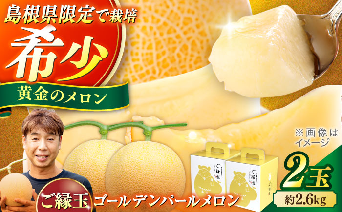 【先行予約】ご縁玉 ゴールデンパールメロン1.3kg×2玉 島根県松江市/有限会社安藤農園 [ALID011]