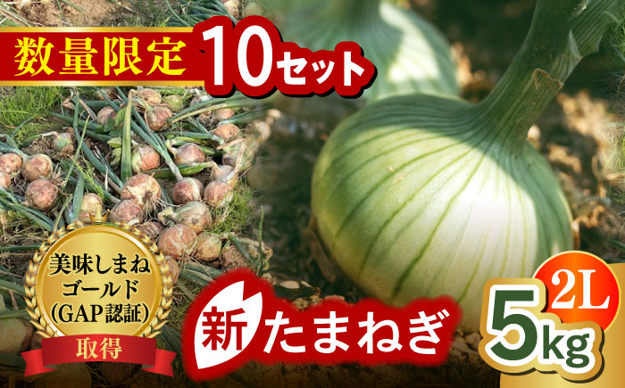 【数量限定10個】【先行予約/2026年6月上旬以降順次発送】美味しまねゴールド認証取得! 松江市産　春おとずれ新たまねぎ 2Lサイズ 5kg 島根県松江市/mishiro farm [ALIJ004]