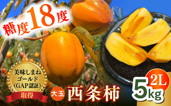 【数量限定10個】【秋限定！先行予約/10月上旬より順次発送】美味しまねゴールド認証！ 松江市産 西条柿 合わせ柿 大玉2L 5kg 島根県松江市/mishiro farm [ALIJ005]