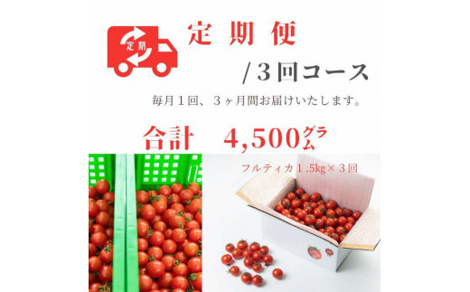 [全3回定期便]島根県産 海辺のトマトバラ「フルティカ」 1.5kg(11〜3月限定) 島根県松江市/株式会社さんちゃんファーム [ALAX007] トマト