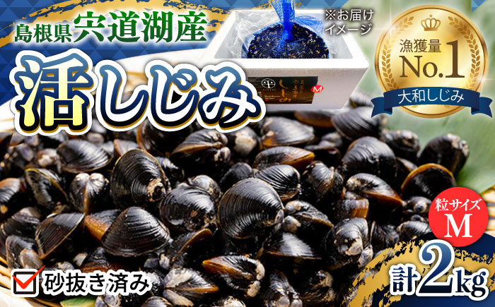 新鮮採れたて!宍道湖産活大和しじみ(M)2kg(砂はき済み) 島根県松江市/平野缶詰有限会社 [ALBZ015] しじみ