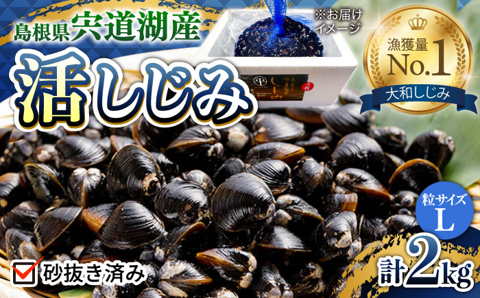 新鮮採れたて!宍道湖産活大和しじみ大粒(L)2kg(砂はき済み) 島根県松江市/平野缶詰有限会社 [ALBZ016] しじみ