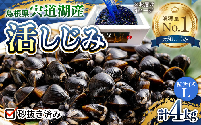 驚きの大容量!宍道湖産活大和しじみ大粒(L)4kg(砂はき済み) 島根県松江市/平野缶詰有限会社 [ALBZ017] しじみ