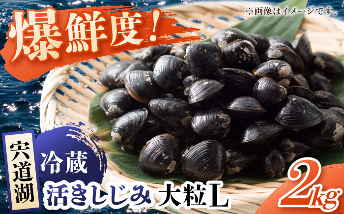 鮮度抜群!宍道湖産しじみLサイズ2kg(生鮮・砂抜済・活しじみ) 松江自慢のしじみです! 島根県松江市/有限会社藤本米穀店 [ALCG008] しじみ