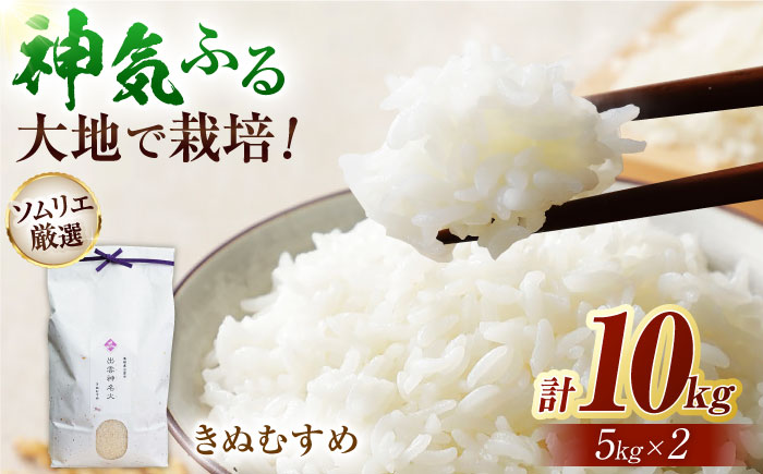 神話ゆかりの地からお届け!島根県産「出雲神名火きぬむすめ」10kg(5kg×2) 新米 おすすめ 人気 島根県松江市/有限会社藤本米穀店 [ALCG013] 米