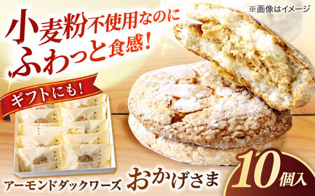 贅沢アーモンドダックワーズ[松江クロードのおかげさま 10個入り]ブッセ 洋菓子 グルテンフリー ギフト プレゼント 島根県松江市/有限会社松江クロード [ALCL003] 焼菓子