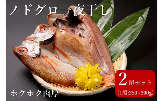 ホクホク!肉厚!恵曇開きノドグロ一夜干しセット(200g〜250g)×2尾 島根県松江市/有限会社丸三商店 [ALCP001] 干物