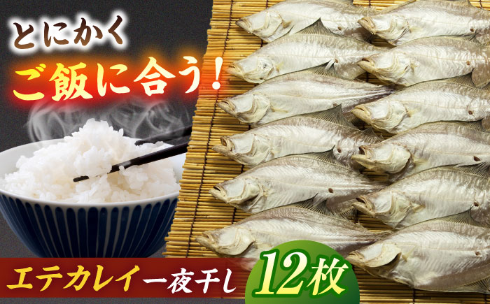 ほかほかのご飯にぴったり!恵曇エテカレイ一夜干しセット×12尾 島根県松江市/有限会社丸三商店 [ALCP003] 干物