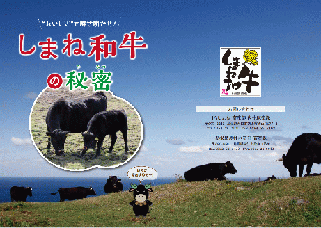 神話の国島根が誇る逸品 しまね和牛 ローススライス 肉 牛肉 和牛 国産牛 ロース 黒毛和牛 お祝い 父の日 【057_1310】