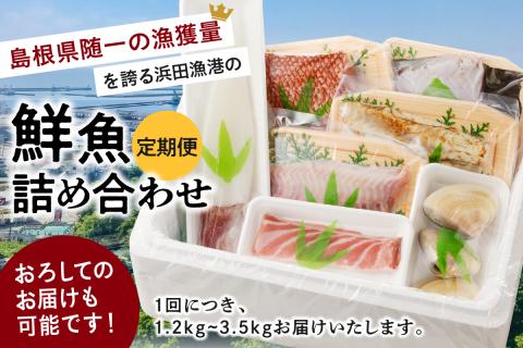 【定期便】この男、極める！～浜田の旨い鮮魚12か月毎月お届けコース～ ふるさと納税 定期便 鮮魚 魚介類 魚貝類 お楽しみ定期便 【006_2044】