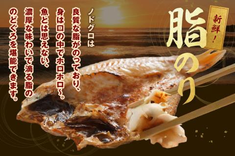 のどぐろ干物（4～5枚 計600g 20～22cm前後）浜田港目利き工場長厳選「のどぐろ」河野乾魚店 魚 干物 干もの 乾物 一夜干し のどぐろ セット 厳選 冷凍 個包装 産地直送 【019_1942】