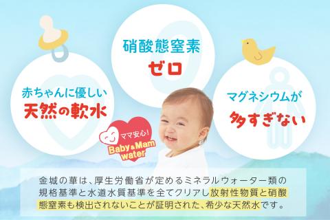 ミネラルウォーター 赤ちゃんのアルカリイオン水500ml 24本入 2箱 〈飲料 ドリンク 水 アルカリイオン水 軟水 備蓄 【043_1840】