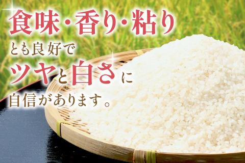 【令和7年産】石見産きぬむすめ10kg 米 お米 きぬむすめ 精米 白米 ごはん 新生活 応援 準備 お取り寄せ 特産 10キロ 【058_1847】