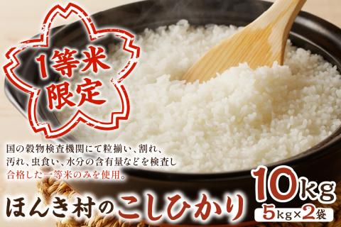 【令和7年産】ほんき村のこしひかり（10kg） お取り寄せ 特産 お米 精米 白米 ごはん ご飯 コメ 新米 新生活 応援 準備 10キロ 10kg 10キロ 【197_1949】