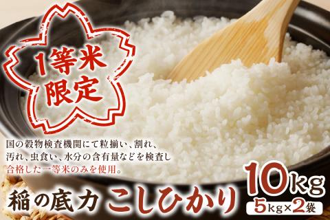 【令和7年産】浜田市産「稲の底力こしひかり」10kg お取り寄せ 特産 お米 精米 白米 ごはん ご飯 コメ 新米 新生活 応援 準備 10キロ 【197_1950】