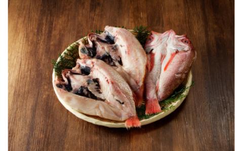 干さない干物極上のどぐろ Dセット 魚介 特大 のどぐろ セット ふるさと納税 のどくろ 魚介類 魚貝類 干物 干もの 一夜干し 真空 贈答 贈り物 ギフト プレゼント 【097_0734】