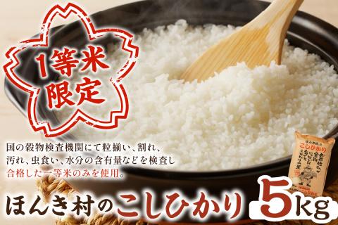 【令和7年産】ほんき村のこしひかり（5kg） お取り寄せ 特産 お米 精米 白米 ごはん ご飯 コメ 新生活 応援 準備 5キロ 【197_1954】