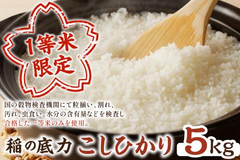 【令和7年産】浜田市産「稲の底力こしひかり」5kg 米 お米 こしひかり 新生活 応援 準備 5キロ 1等米【197_1955】