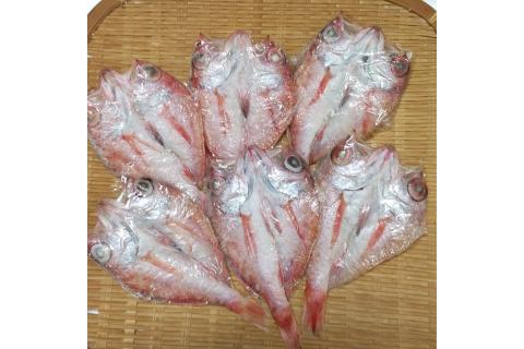 絶品！旨とろ のどぐろ 干物 5～8枚入り（総重量：500g以上） 魚介類 魚 ノドグロ 冷凍 【176_1781】