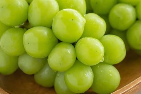 【先行予約】根域制限シャインマスカット 約1.8kg 3～5房《9月中旬頃から発送》 果物 シャインマスカット 【183_1882】