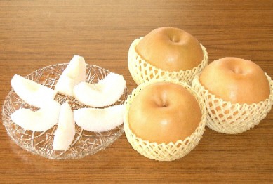 浜田市旭町産赤梨 3.5kg（新興）4～7玉＜11月上旬から発送開始＞ 梨 新興 ナシ 和梨 果物 フルーツ くだもの 【002_1962】