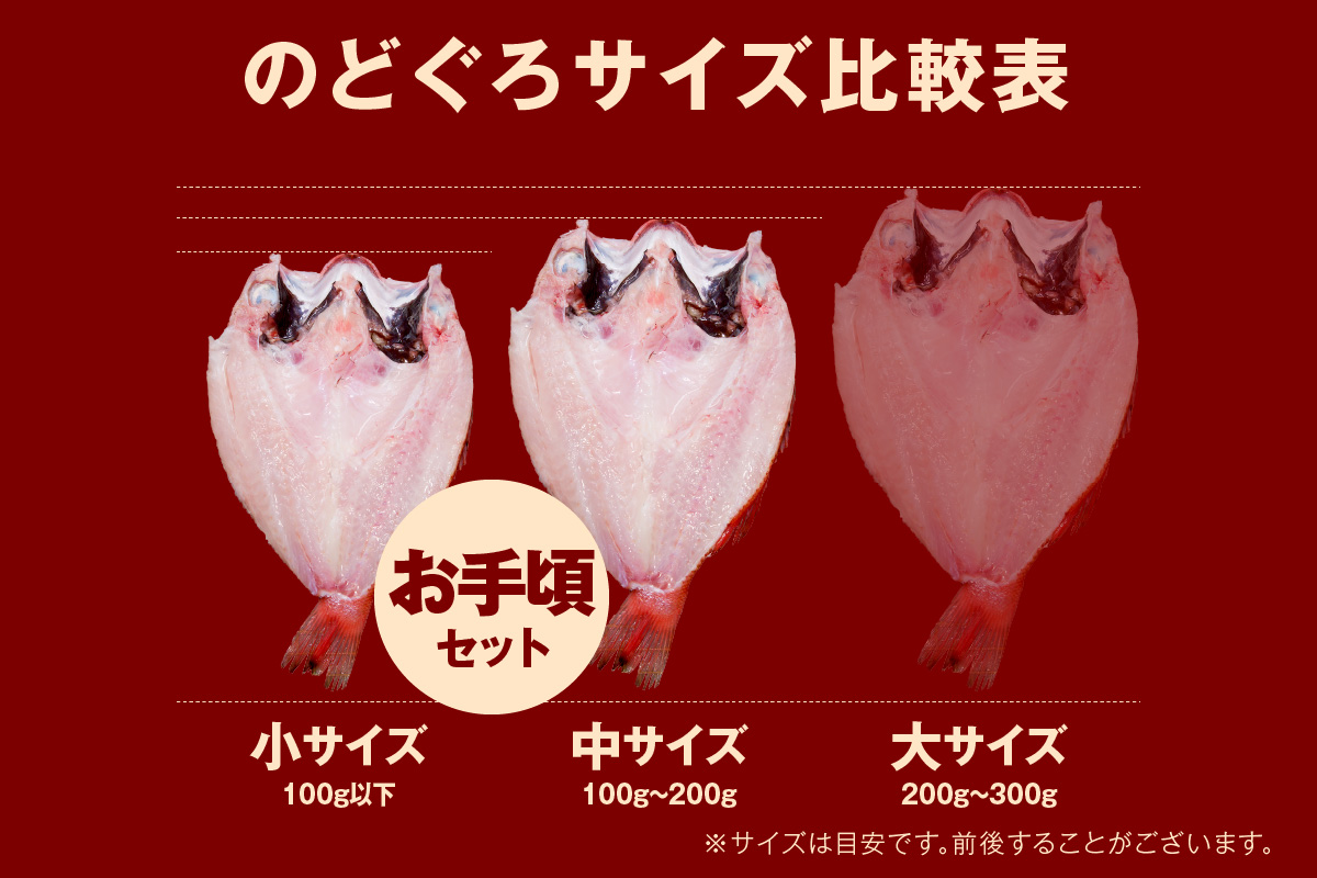 シーライフ のどぐろ一夜干し4～6枚で計400g「お手ごろセット」産地直送 アカムツ 干物 一夜干し 手頃 小分け 個包装 ギフト 贈り物【005_2067】