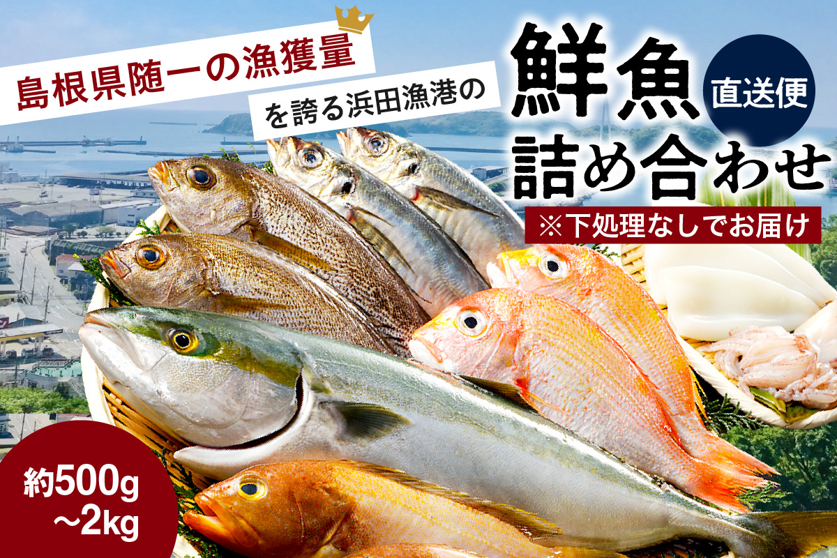 この男にお任せ！浜田の厳選鮮魚お試し便（下処理なし） 【006_2054】