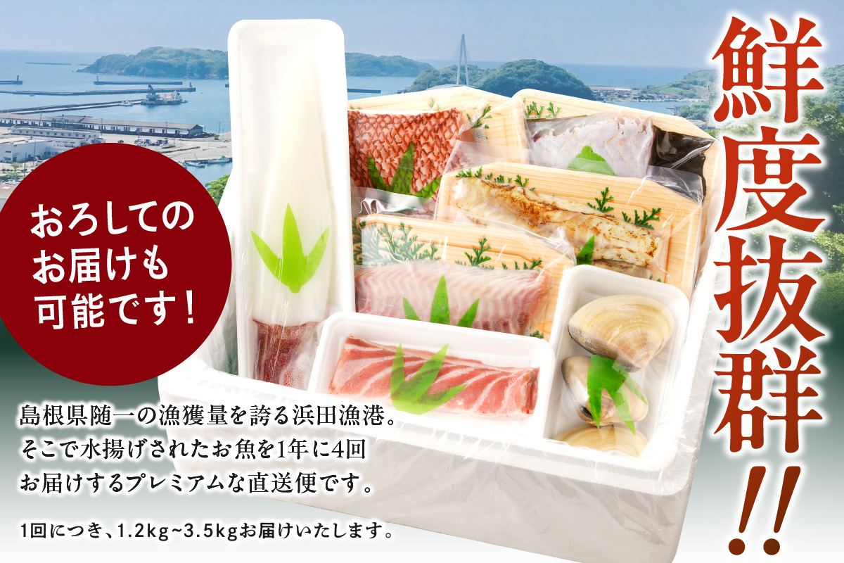 この男にお任せ！～浜田の旨い鮮魚四季のお届けコース～ 【006_2056】