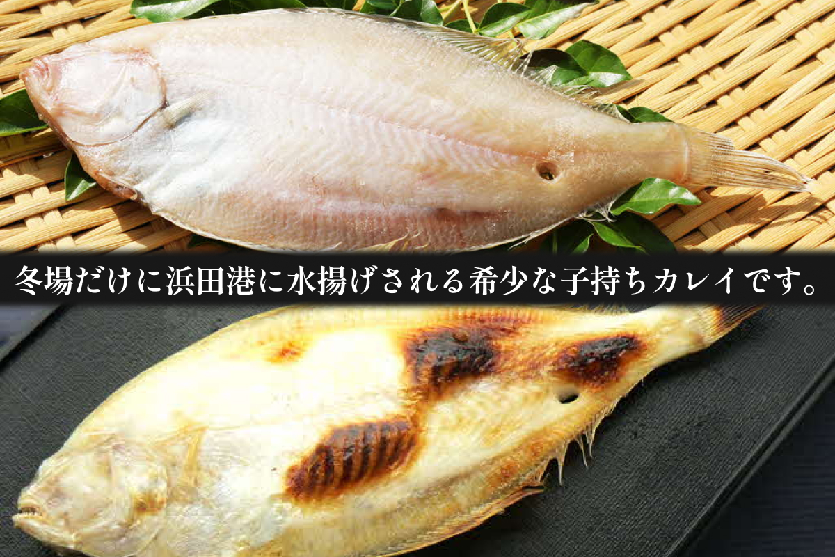 【先行予約】山陰浜田港水揚げ　希少な干し甲高カレイ（卵入り）魚介 干物 一夜干し おつまみ おかず カレイ 【019_1956】