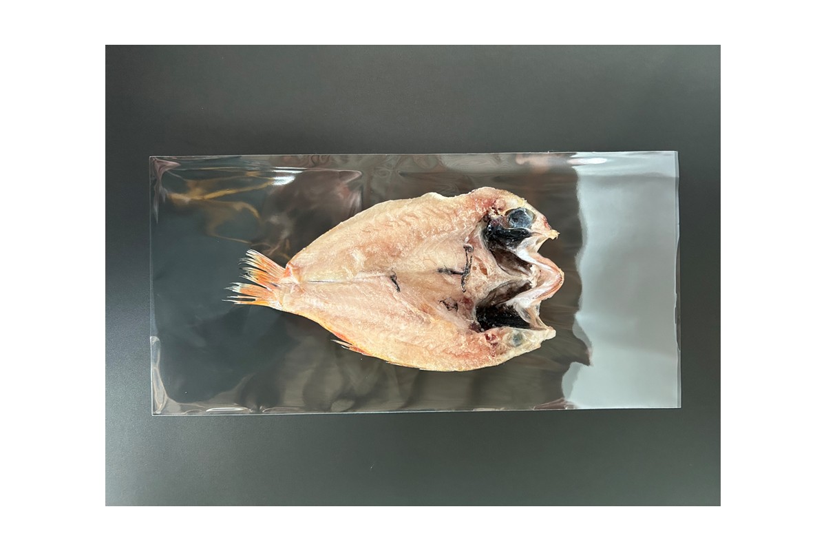 【本物の目利き厳選！】のどぐろ干物（計1kg・8尾セット） 【025_0441】