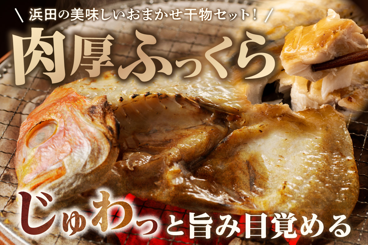 極上!!干物屋推薦 厳選干物 訳あり商品が入ってます!! 魚介類 セット 干物 乾物 ふるさと納税 訳あり 海の幸 魚介類 魚貝類 干物 一夜干し 干物セット【033_1776】