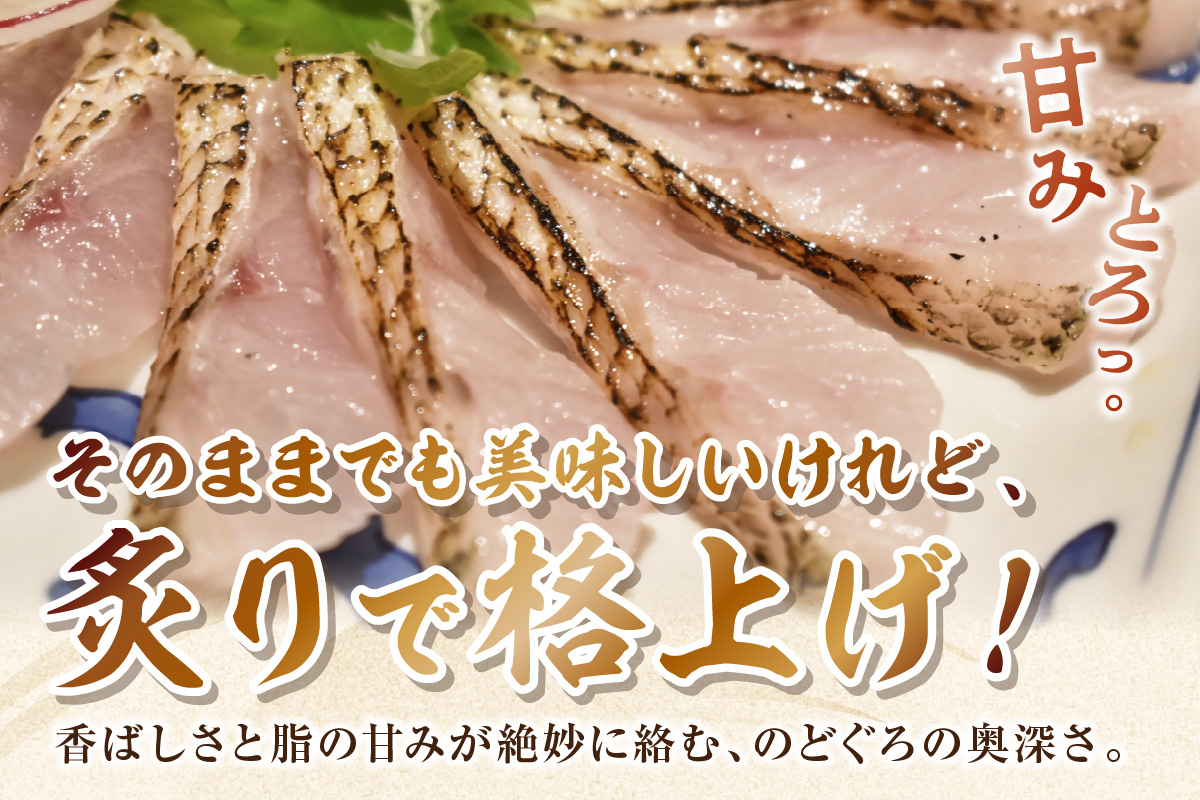 【脂乗り抜群！】のど黒炙り刺し 魚介類 魚貝類 のどぐろ 炙り刺し 刺身 おかず おつまみ 醤油付き 【087_1733】