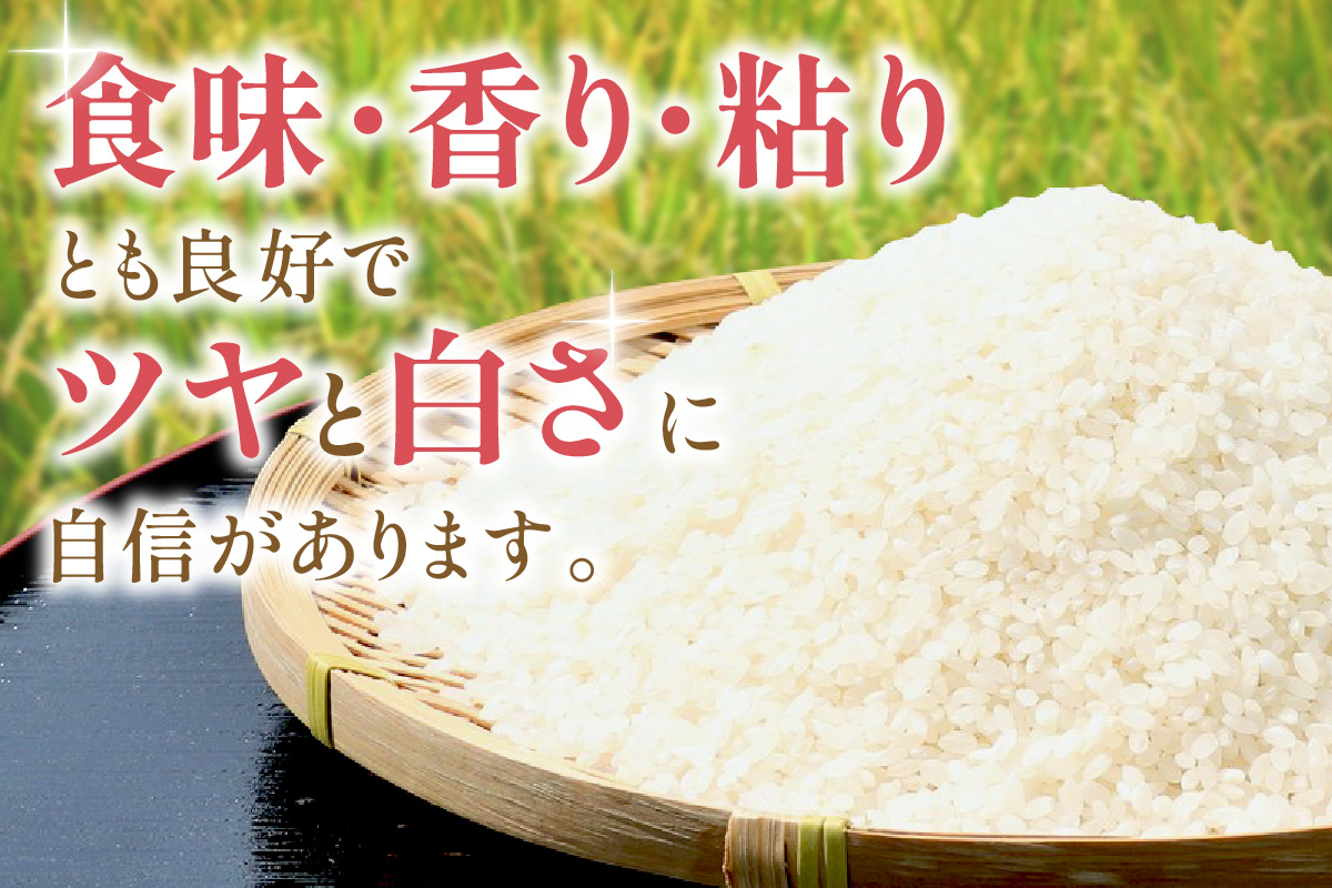 【令和6年産】無洗米 石見産きぬむすめ 5kg×2袋 米 白米 精米 応援 準備 新生活応援 お取り寄せ 特産 【058_1825】