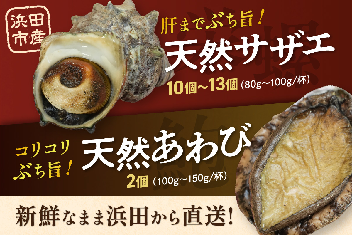 豪華サザエ・あわび詰合せ【本田商店】 海鮮 貝 ふるさと納税 サザエ ふるさと納税 あわび 鮑 詰め合わせ セット BBQ バーベキュー 【033_1775】