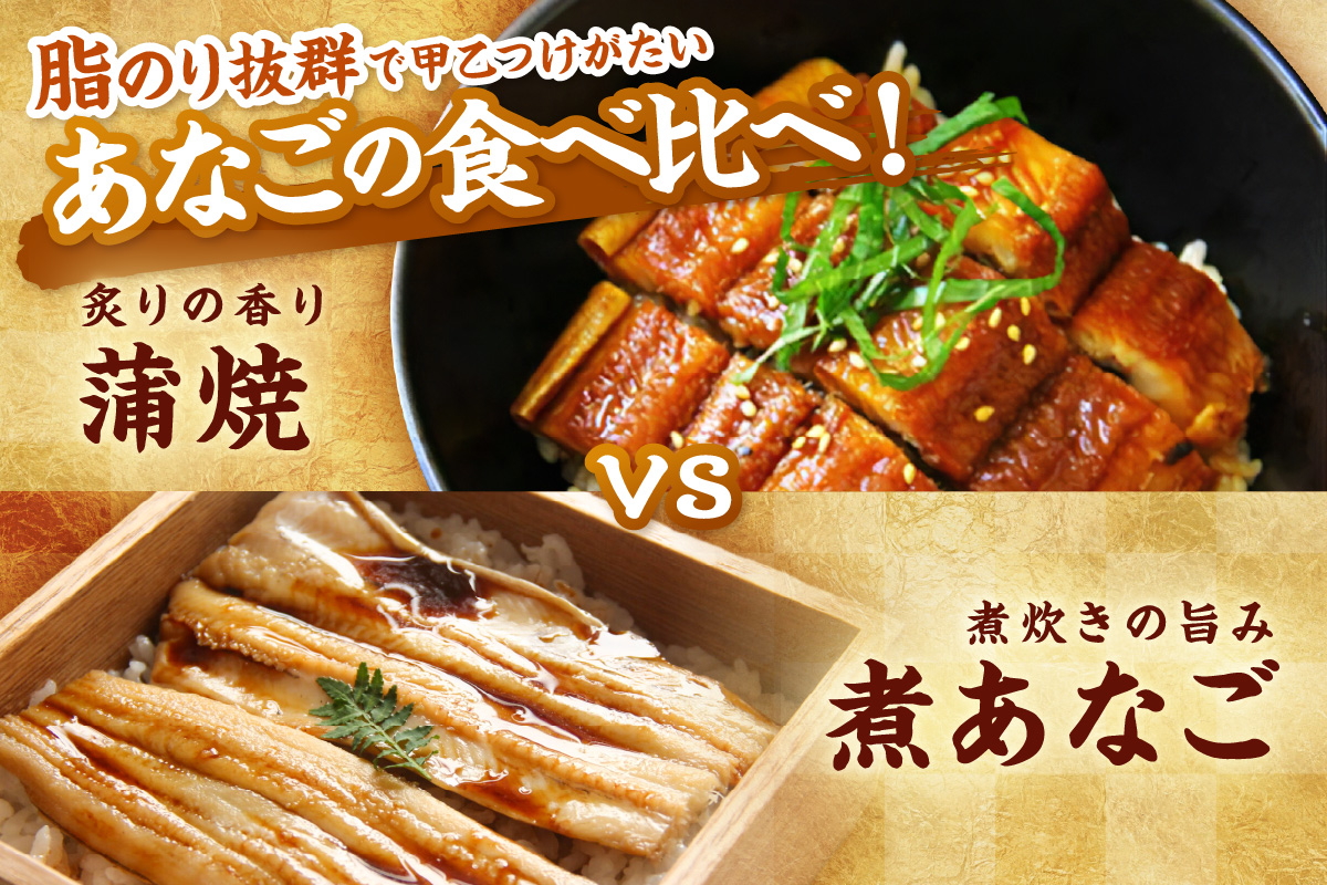 あなご2種（蒲焼あなご・煮あなご）セット 魚介類 魚 穴子 蒲焼き 煮穴子 セット 食べ比べ 【156_2012】