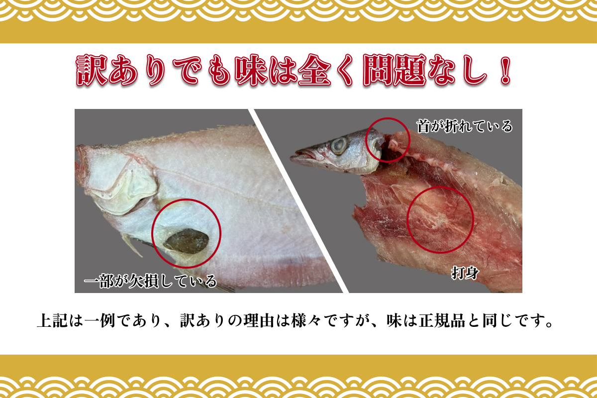 訳あり 干物てんこ盛りセット 3kg以上 【176_1790】