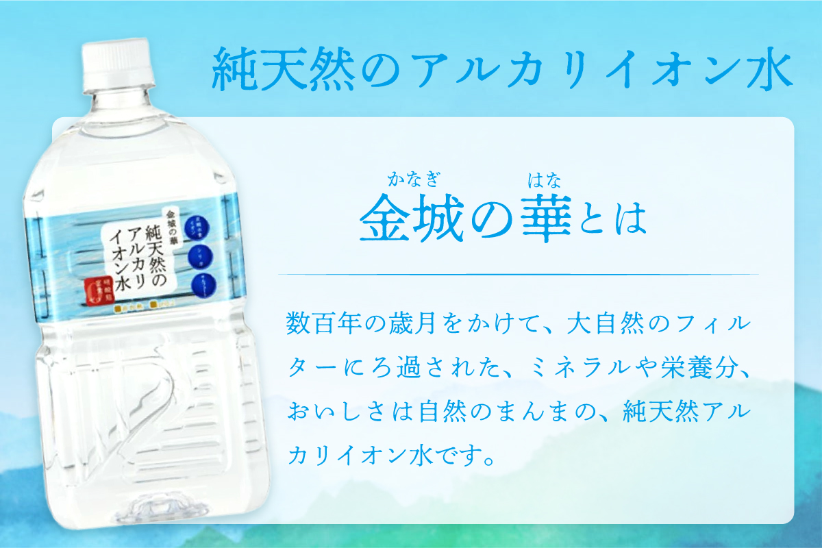 ミネラルウォーター 金城の華 1L 12本入 2箱 飲料水 水 アルカリイオン水 【043_1839】